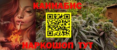 индика Будённовск