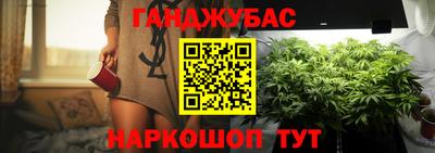 индика Будённовск