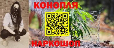 стафф Ижевск