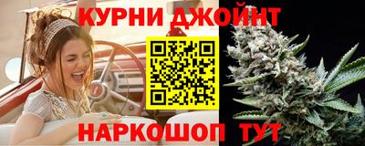 индика Будённовск