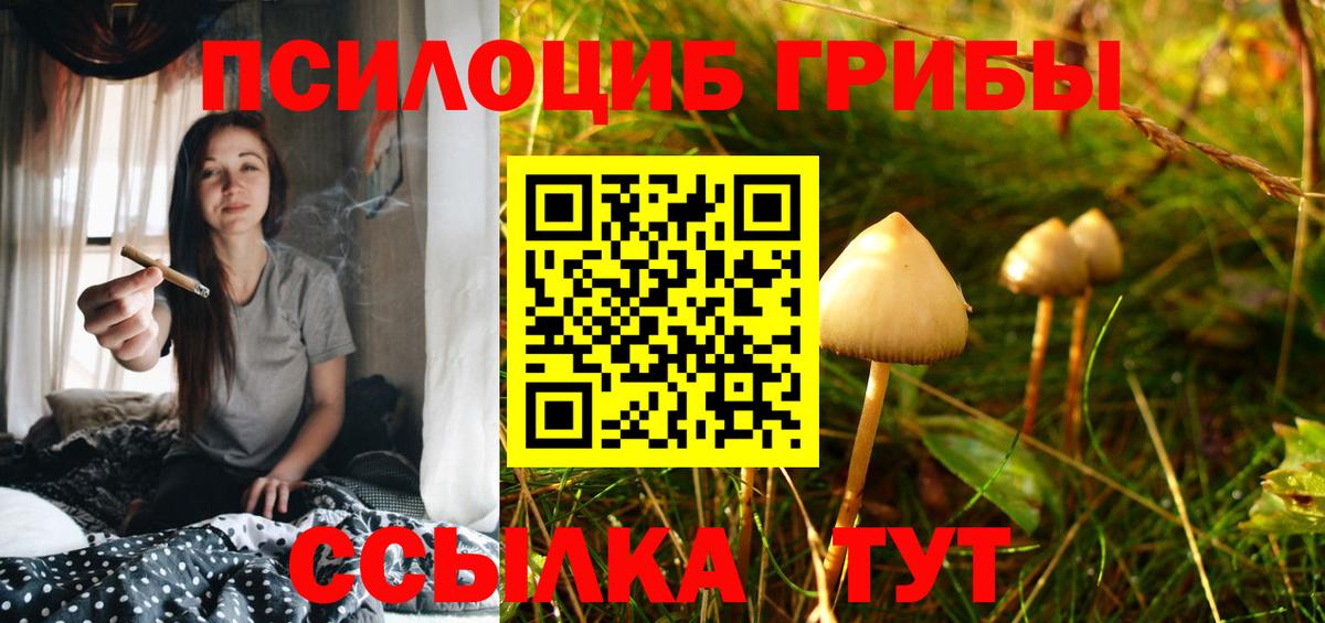 Котовск  Псилоцибиновые грибы ЛСД  Вход с VPN 