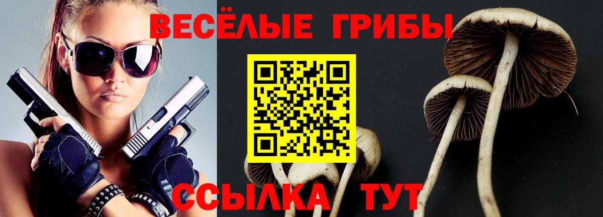 Галлюциногенные грибы MAGIC MUSHROOMS Котовск